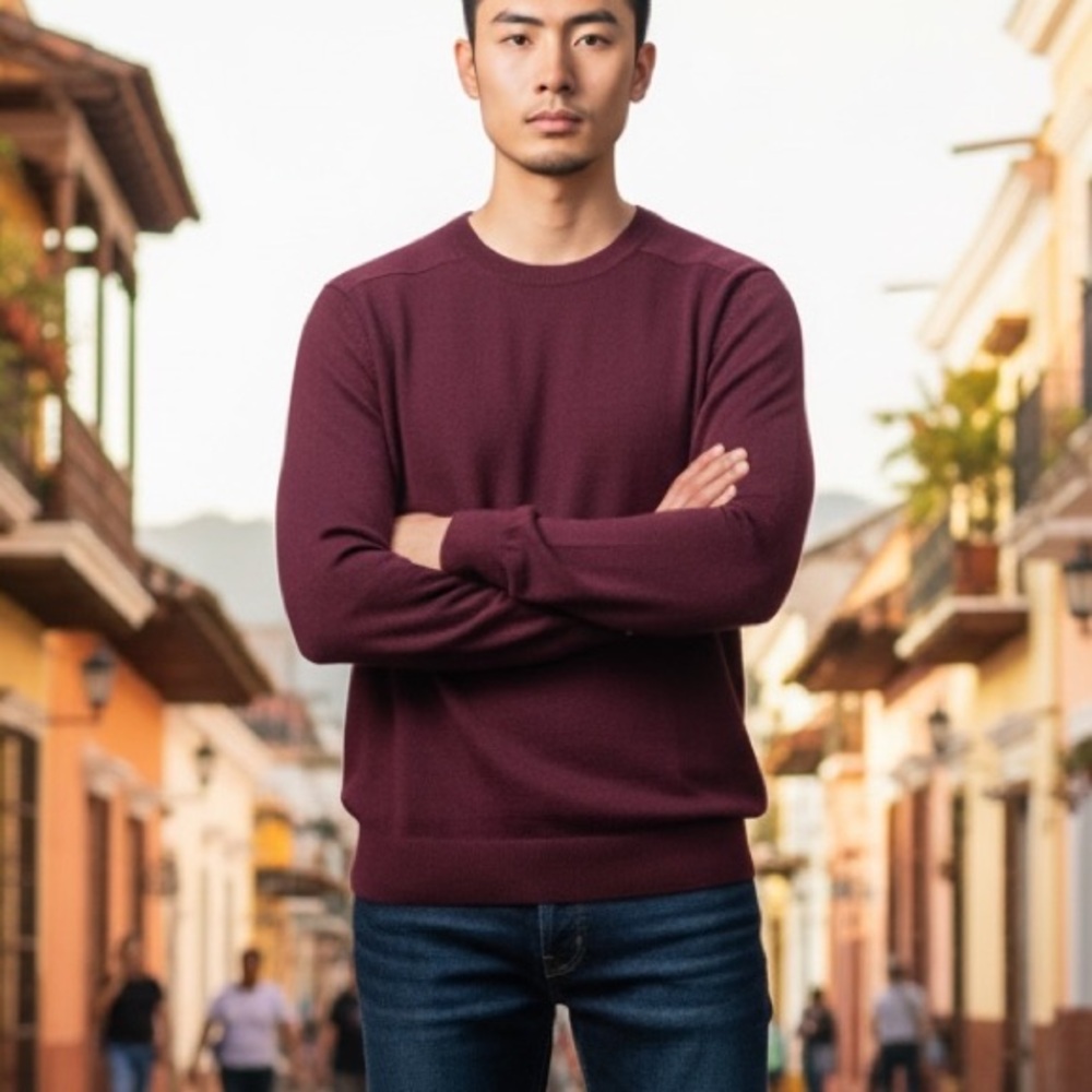 B22 Blue Harbor Men’s Extra Fine Lambswool Sweater Large Burgundy Crewneck